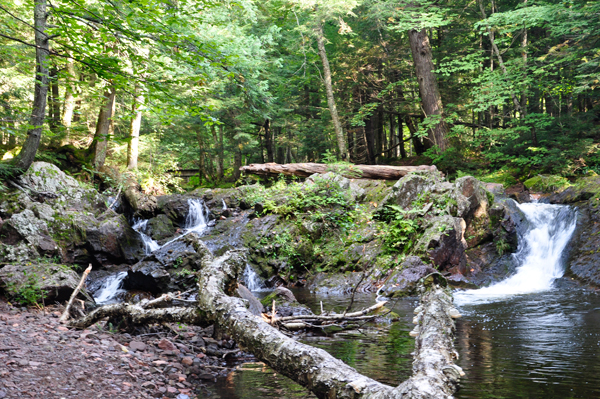 Greenstone Falls and Little Carp River